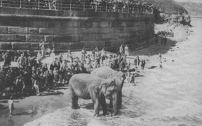 Maharajah’s Elephants at Whitby